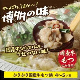 【ふるさと納税】創業55年の老舗肉屋が厳選！国産もつ鍋（しょうゆ味）4〜5人前　EZ006