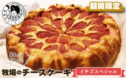 【ふるさと納税】奥野牧場 ベイクドチーズケーキ【イチゴスペシャル】ホール（大）20cm　期間限定