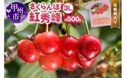 【ふるさと納税】大粒さくらんぼ童夢の「紅秀峰」化粧箱（約500g3Lサイズ）【2024年発送】（DOM）C5-141