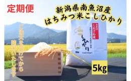 【ふるさと納税】【定期便】　南魚沼しおざわ産　はちみつ米　5kg×12か月