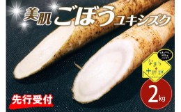 【ふるさと納税】北海道十勝芽室町 なまら十勝野 芽室町産 春掘り美肌ごぼう【ユキシズク】L2？ me001-034c