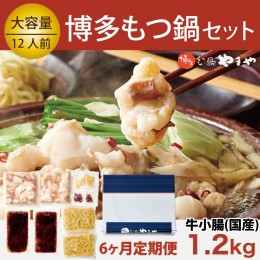 【ふるさと納税】【定期便】 やまや 博多もつ鍋セット　牛もつたっぷり1.2kg！12人前（全6回）　EY013