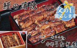 【ふるさと納税】【父の日ギフト】うなぎ 蒲焼 カット無頭 本部うなぎ屋 かば焼き 国産 宮崎 蒲焼 鰻＜3-8＞