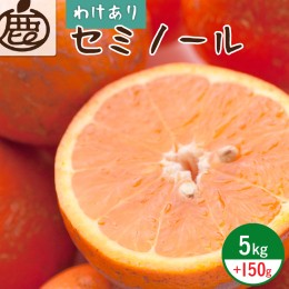 【ふるさと納税】ZH7010_＜4月より発送＞家庭用セミノールオレンジ5kg+150g（傷み補償分）（春みかん）（有田産）（光センサー食べ頃出荷