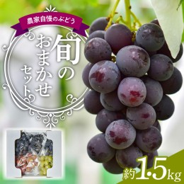 【ふるさと納税】農家自慢のぶどう　旬のおまかせセット　約1.5kg[034K03]