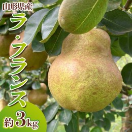 【ふるさと納税】山形県産 ラ・フランス 秀品 約3kg(6〜12玉) FY24-027