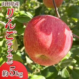 【ふるさと納税】山形県産 りんご (サンふじ) 約5kg(14〜25玉) FY24-028