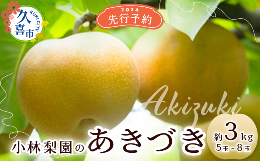 【ふるさと納税】【先行予約 数量限定】梨 あきづき 約3kg 5玉〜8玉【埼玉県 久喜市 菖蒲 小林梨園 あきづき 秋月 梨 フルーツ 高級 産地