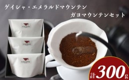 【ふるさと納税】ゲイシャ エメラルドマウンテン ガヨマウンテン セット 計 300g  コーヒー 粉 ギフト 飲み比べ エチオピア コロンビア 