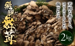 【ふるさと納税】訳あり（簡易包装）飛騨舞茸 2kg マイタケ まいたけ キノコ きのこ 舞茸 TVで紹介された品 テレビで紹介 テレビで放送 