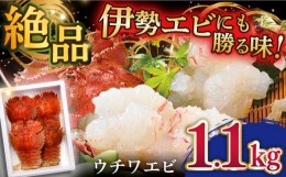 【ふるさと納税】＜7月発送＞【引き締まった身の旨味】平戸 ウチワエビ 三昧 1.1kg（冷凍） 平戸市 / 平戸さくら水産 [KAA152]