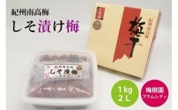 【ふるさと納税】【特選】しそ漬け梅 1kg 2L A-085a