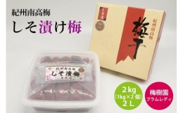 【ふるさと納税】【特選】しそ漬け梅 2kg 2L（1kg×2個） B-037