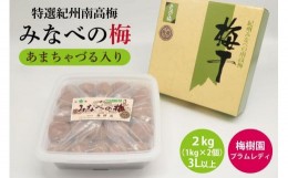 【ふるさと納税】【特選】みなべの梅(あまちゃづる) 2kg 3L以上 （1kg×2個） B-034