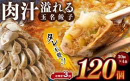 【ふるさと納税】【 定期便 3回 】タレ不要？ 肉汁 溢れる『 玉名餃子 』 120個 （30個×4袋）| 餃子 ぎょうざ お手軽 小分け 冷凍 冷凍