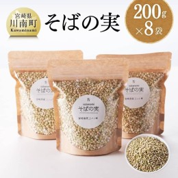 【ふるさと納税】宮崎県産 そばの実 計1.6kg（200g×8袋） 【 国産 九州産 ソバ 蕎麦 ソバノミ 農家直送 産地直送 】