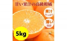 【ふるさと納税】愛果28号 バラ詰め 5kg 先行予約 12月発送 愛媛 数量限定 愛媛県産 人気 柑橘 伊予市｜C57