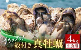 【ふるさと納税】殻付き 真牡蠣 4kg【生食可】 牡蠣 カキ 生食 プリプリ 石巻雄勝湾