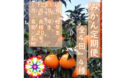 【ふるさと納税】＜発送月固定定期便＞愛咲果樹園「みかん定期便」(10月〜1月)全4回＜D71-19＞【4013210】