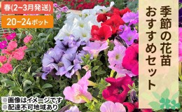 【ふるさと納税】春 の 花苗 おすすめ セット 20〜24ポット(4〜6月発送)  ガーデニング 園芸 お花 花 フラワー