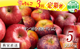 【ふるさと納税】旬のりんご 【 定期便 】 訳あり  4.5kg〜5kg × 3回 松橋りんご園 沖縄県への配送不可 2024年9月上旬頃から2024年12月