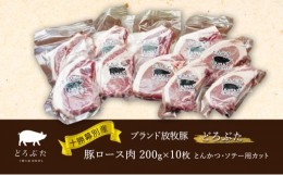 【ふるさと納税】[?5749-1371]十勝の森放牧豚　どろぶたのロース肉１０個セット（とんかつ用）