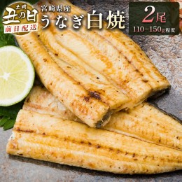 【ふるさと納税】前日配送予約［土用丑の日］うなぎ白焼きギフト 2尾（110〜150g/1尾あたり）宮崎県産鰻 蒲焼きタレ付（50ml×1本）【N43