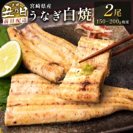 【ふるさと納税】前日配送予約［土用丑の日］うなぎ白焼きギフト 2尾（150〜200g/1尾あたり）宮崎県産鰻 蒲焼きタレ付（50ml×1本）【N44