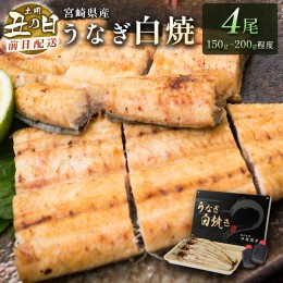 【ふるさと納税】前日配送予約［土用丑の日］うなぎ白焼きギフト 4尾（150〜200g/1尾あたり）宮崎県産鰻 蒲焼きタレ付（50ml×2本）【N46