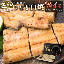 【ふるさと納税】前日配送予約［土用丑の日］うなぎ白焼きギフト 4尾（200〜250g/1尾あたり）宮崎県産鰻 蒲焼きタレ付（50ml×2本）【N47