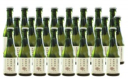 【ふるさと納税】【果実炭酸酒】北海道産りんご100％使用 さわやかシードル 200ml×24本