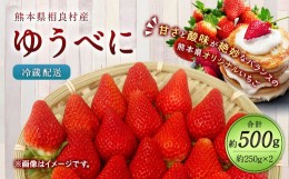 【ふるさと納税】【2024年12月上旬〜2025年4月下旬発送予定】相良村産 いちご「ゆうべに」250g×2パック 日野農園 いちご 苺 フルーツ 果