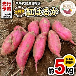 【ふるさと納税】【 先行予約 2024年11月中旬以降発送 】 訳あり 無選別 八千代町産 紅はるか 生芋 土付き 約 5kg さつまいも サツマイモ