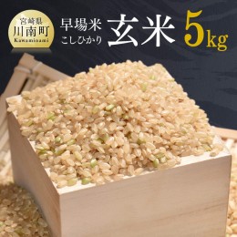 【ふるさと納税】令和6年産「こしひかり（玄米）」5kg【 新米 米 お米 こめ コシヒカリ 玄米 農家直送 国産 送料無料 】