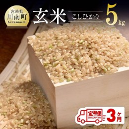 【ふるさと納税】【3ヶ月定期便】令和6年産 「こしひかり（玄米）」 5kg 【 全3回 宮崎県産 九州産 お米 米 ライス 】