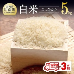 【ふるさと納税】【3ヶ月定期便】令和6年産「こしひかり（有洗米）」5kg【 お米 米 こしひかり 白米 農家直送 全3回 】