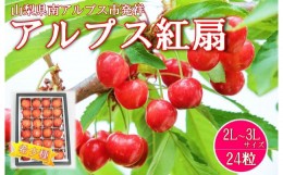 【ふるさと納税】6-60 さくらんぼ　希少品種「アルプス紅扇」　24粒入り