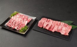 【ふるさと納税】くまもと黒毛和牛焼肉セット 700g（カルビ・ロース：350g各1パック）