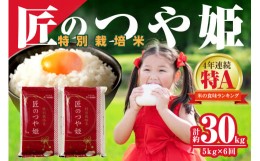 【ふるさと納税】【令和5年産】特別栽培米「匠のつや姫」 ５kg ×６回コース定期便 定期便 米 コメ 令和5年産 5キロ 島根 県産 新米 精米