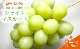 【ふるさと納税】信州上田 シャインマスカット約2kg（4〜5房）