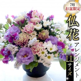 【ふるさと納税】【 7月 お盆 限定 】 仏花 アレンジメント LLサイズ 花 フラワー 生花 月命日 命日 墓前 お墓参り 供花 お悔やみ お供え