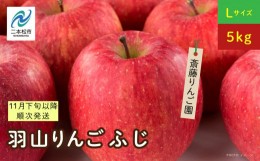 【ふるさと納税】《2024年11月下旬以降順次》羽山のりんご　ふじLサイズ5kg【斎藤りんご園】