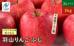 【ふるさと納税】《2024年11月下旬以降順次》羽山のりんご　ふじ3Lサイズ3kg【斎藤りんご園】