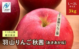 【ふるさと納税】《2024年11月以降順次》羽山のりんご　秋茜L〜2Lサイズ3kg【斎藤りんご園】