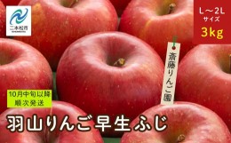 【ふるさと納税】《2024年10月中旬以降順次》羽山のりんご　早生ふじL〜2Lサイズ3kg【斎藤りんご園】