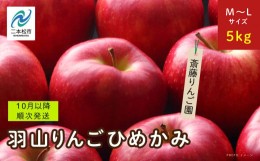 【ふるさと納税】《2024年10月以降順次》羽山のりんご　ひめかみM〜Lサイズ5kg【斎藤りんご園】