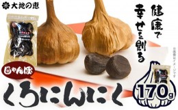 【ふるさと納税】くろにんにく(じゃんぼミックス) 170g《30日以内に出荷予定(土日祝除く)》大阪府 羽曳野市 ニンニク 黒ニンニク じゃん