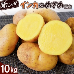 【ふるさと納税】【新じゃが】インカのめざめ混合10ｋｇ【830008】