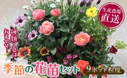 【ふるさと納税】生産農場直送！季節の花苗セット (9ポット程度) F6L-868