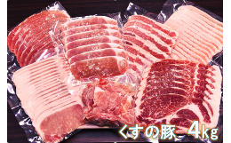 【ふるさと納税】B-36 くすの豚 ４kg / 詰め合わせ セット ６種 豚肉 国産 大分県産 肉 小分け 